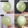 PartyWoo Balloons Beryl Green Boho Dusty 18 12 10 5 Inch 100 pcs - 3 of 4