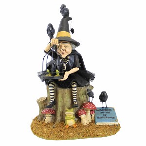 Bethany Lowe 13.5 Inch Transformation Failure Witch Halloween Crow Bird Frog Figurines - 1 of 3