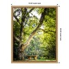 Amanti Art A Place to Ponder (Tree) by Matt Marten Canvas Wall Art Print Framed 16 x 20-in. - 4 of 4