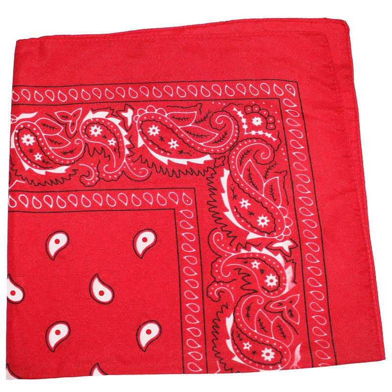 Mechaly Pack of 4 X-Large Paisley Cotton Printed Bandana - 27" x 27", 2 of 4