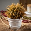 8"H Sullivans Artificial Golden Cypress Fall Orb, Indoor Fall Decor - 3 of 3