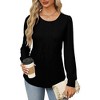 Long Puff Sleeve Shirts for Women Pleated Crew Neck Tunic Tops Blouses 2025 Fashion Dressy Casual Fall Tops - 2 of 4