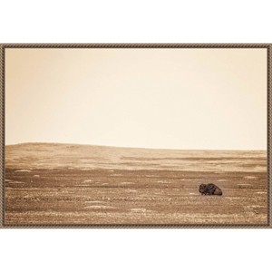33"x23" Badlands Bison Sepia by Nathan Larson Framed Canvas Wall Art Print Bronze - Amanti Art: Modern Style, Polystyrene Frame, Animal Theme - 1 of 4