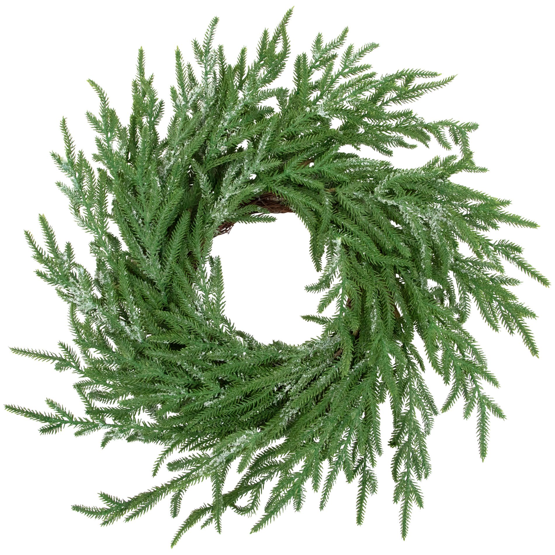 Northlight Frosted Norfolk Pine Artificial Christmas Wreath - 20" - Unlit