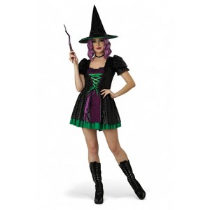 California Costumes Black Shimmer Witch Adult Costume - 1 of 4