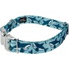 Country Brook Petz Premium Sharks Dog Collar - 3 of 4