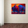 Trademark Fine Art -Marion Rose 'Abstract Bison' Canvas Art - 3 of 3