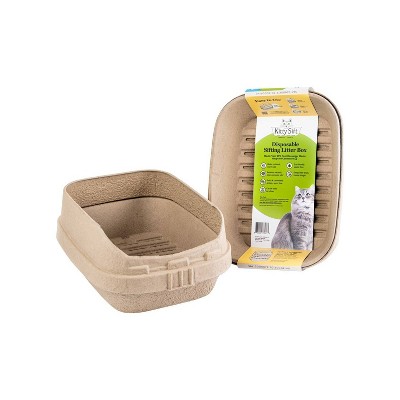 bull terrier dalmatian mix