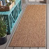 Beach House BHS260 UV & Stain Resistant Non-Shedding Power Loomed Indoor/Outdoor Rugs - Safavieh - 2 of 4