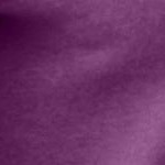 plum purple
