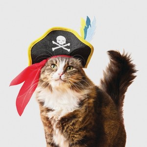 Pirate Cat Headpiece Costume - Boots & Barkley™ Black One Size Fits Most - 1 of 4