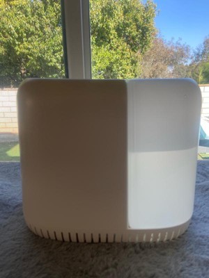 Guest review image 1 of 3, zoom in