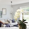 Floral Home 29" White Phalaenopsis Stem with 9 Flowers - 12-Piece - 2 of 4