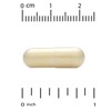 Organic Peruvian Maca Root, Lepidium meyenii, Non GMO, 500 mg, 240 Veggie Caps - 3 of 4