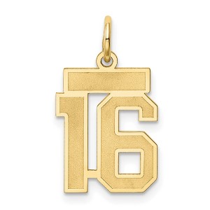 Black Bow Jewelry 14k Yellow Gold, Jersey Collection, Small Number 16 Pendant - 1 of 4