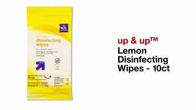 Lemon & Mint Stainless Steel Wipes - 30ct - Everspring™ : Target