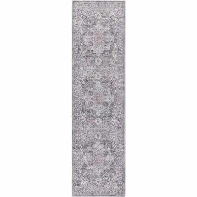 Nourison New Concept Washables Vintage Indoor Area Rug