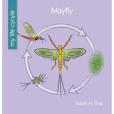 Mayfly - (My Early Library: My Life Cycle) by  Susan H Gray (Paperback)