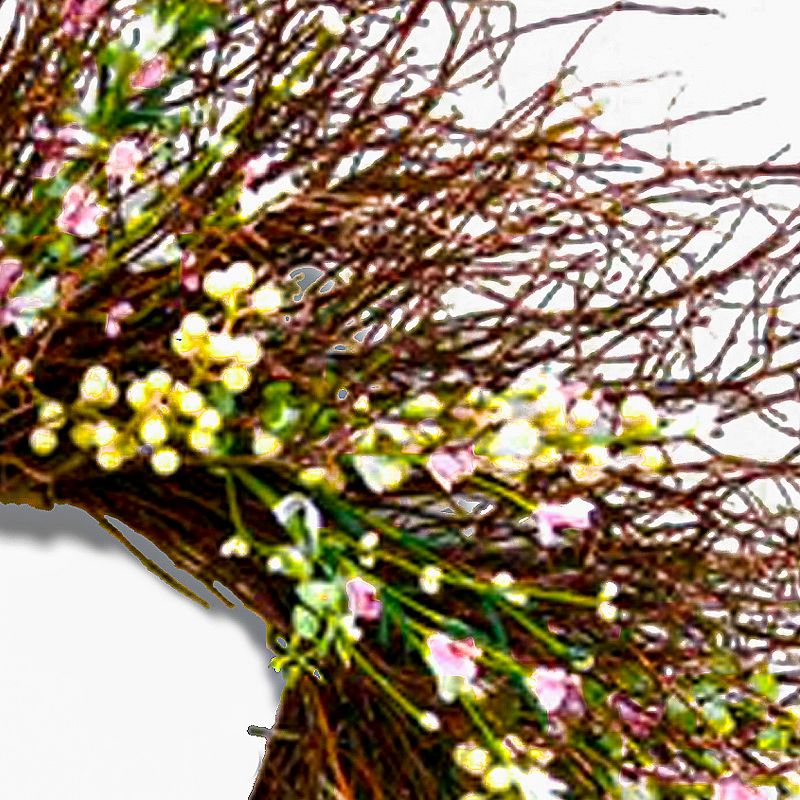 24" Spring Forsythia Light Pink & Cream Artificial Wreath - National Tree Company, 3 of 4