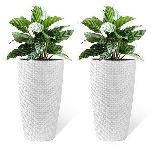 Set of 2 Faux Rattan Tall Planters Outdoor Indoor Large Planters with Water Level Monitor Inner Bucket, Automatic Watering, Flower Plant Pots - 1 of 1