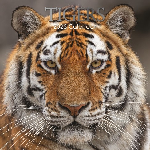 the tiger theme