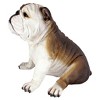 Design Toscano Buster The Bulldog'sculpture - Multicolored - 4 of 4