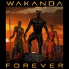 Boy's Marvel Black Panther 2018 Wakanda Forever T-Shirt - 2 of 4