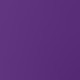purple orchid