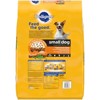 Pedigree Roasted Chicken, Rice & Vegetable Flavor Small Dog Adult Complete Nutrition Dry Dog Food - image 3 of 4