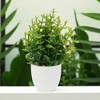 Unique Bargains Artificial Plants Eucalyptus Plant Plastic 2.76"x2.76"x7.09" 1 Pc - 2 of 4