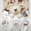 Sweet Jojo Designs Boy Toddler Pillow with Pillowcase 13 x 18 in. Wild West Cowboy Multicolor - 3 of 4