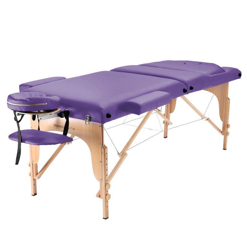 Saloniture Professional Portable Massage Table with Backrest, 2 of 8