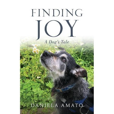 Finding Joy - by  Daniela Amato (Paperback)