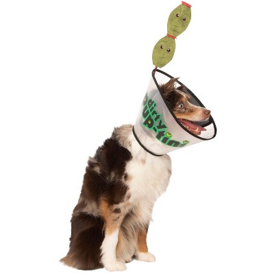 dog cone target