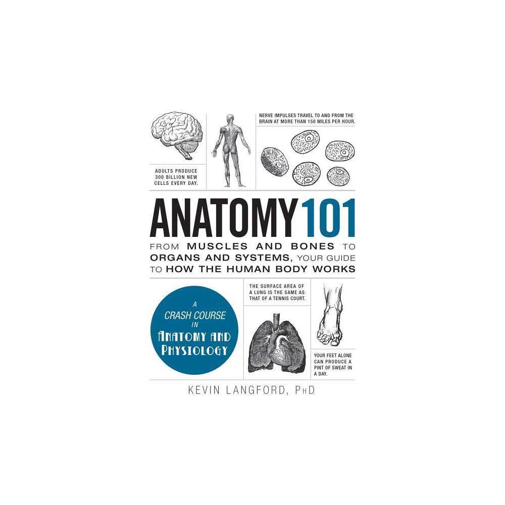 Anatomy 101 - (Adams 101) by Kevin Langford (Hardcover)