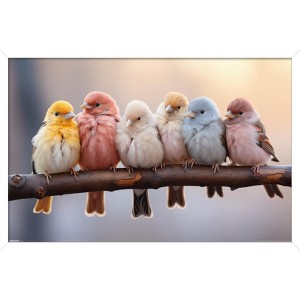 Trends International Reinders: Animals - Pastel Birds Framed Wall Poster Prints White Framed Version 22.375" x 34" - 1 of 4
