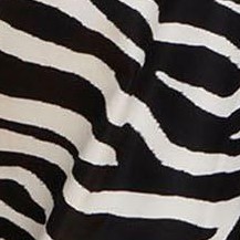 zebra spotted