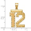 Black Bow Jewelry 14k Yellow Gold, Varsity Collection, Large D/C Pendant Number 12 - 2 of 3