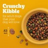 Pedigree Roasted Chicken, Grain and Vegetable Flavor Adult Dry Dog Food - 44lbs - 3 of 4