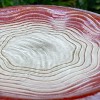 NAYSAYE Planter Ceramic Birdbath Rose Ombre Elegant Design for Indoor Outdoor Garden, White Pink, 16.93"*16.93"*18.12" - 2 of 4