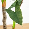Nearly Natural 5.5-ft Artificial Arrowhead Philodendron in White Decorative Planter - 3 of 4