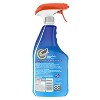 Shout Advanced Action Gel Laundry Stain Remover Spray - 22 fl oz - 4 of 4