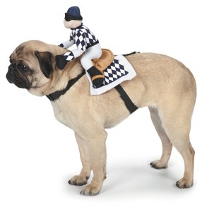 Zack & Zoey Show Jockey Saddle Dog Costume - 1 of 3