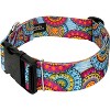 Country Brook Petz HossFit Jr Wide Deluxe Dog Collar - Groovy Collection - 4 of 4