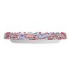 Dixie Ultra Plates 10" - Americana - 18ct - 3 of 4