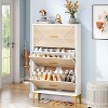 Tribesigns Slim Hidden Shoe Cabinet - 3 of 4