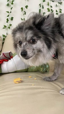 Guest review image 4 of 4, zoom in