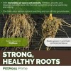 PittMoss Prime Eco-Friendly, Organic, Peat-Free Soil Conditioner - 4 of 4