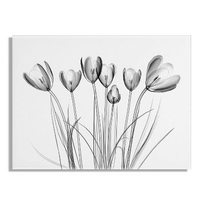Crocus X-Ray Floral 23" x 31" Acrylic Wall Art