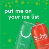 Bubly Sparkling Water, Holiday Variety Pack, 12 Fl Oz. Cans (16 Pack) - 2 of 4